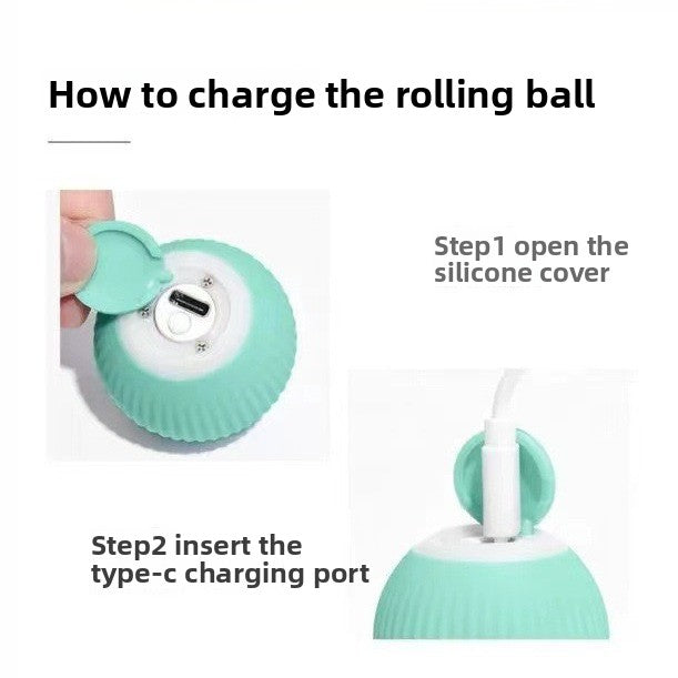 The Ultimate Smart Playmate