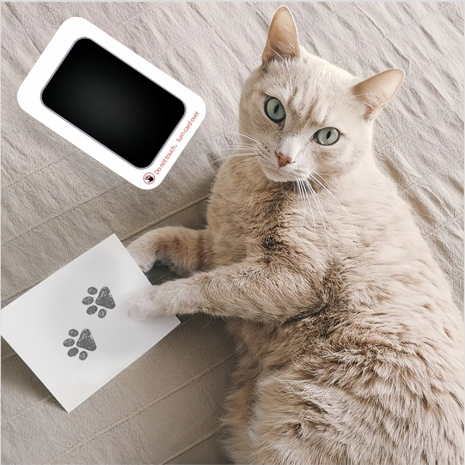 The Clean-Touch Keepsake Kit