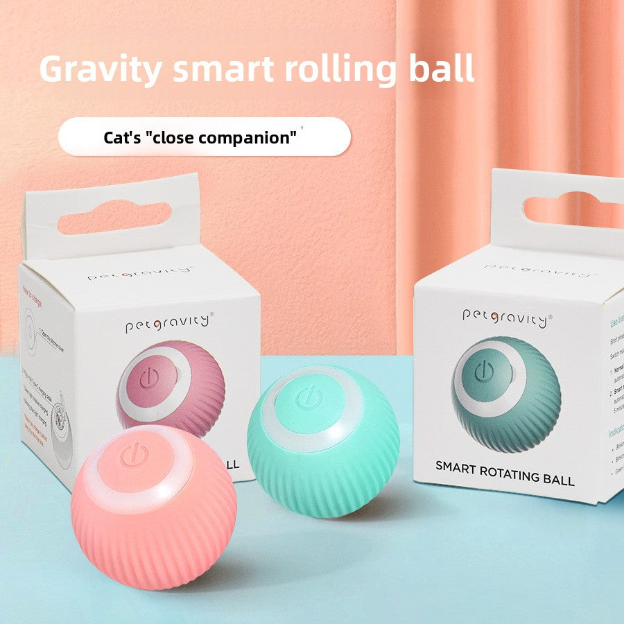 The Ultimate Smart Playmate