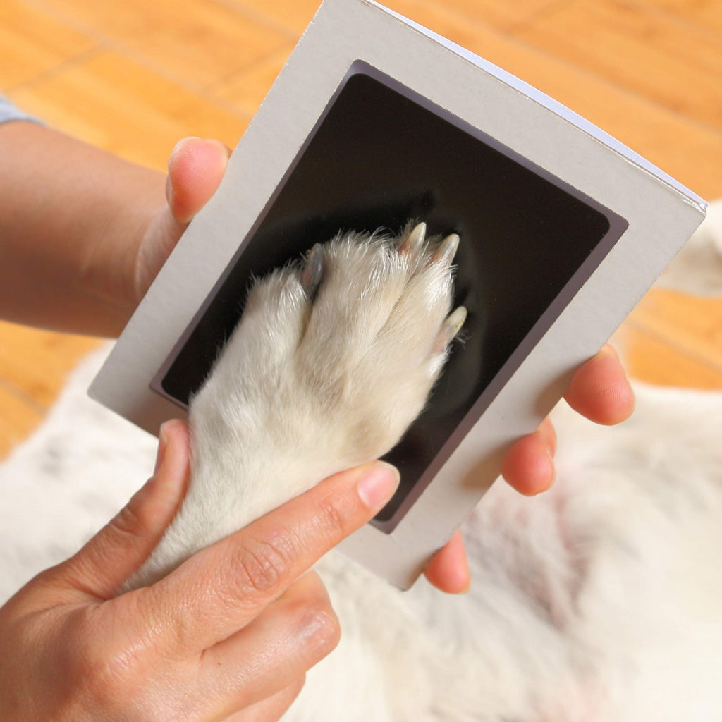The Clean-Touch Keepsake Kit