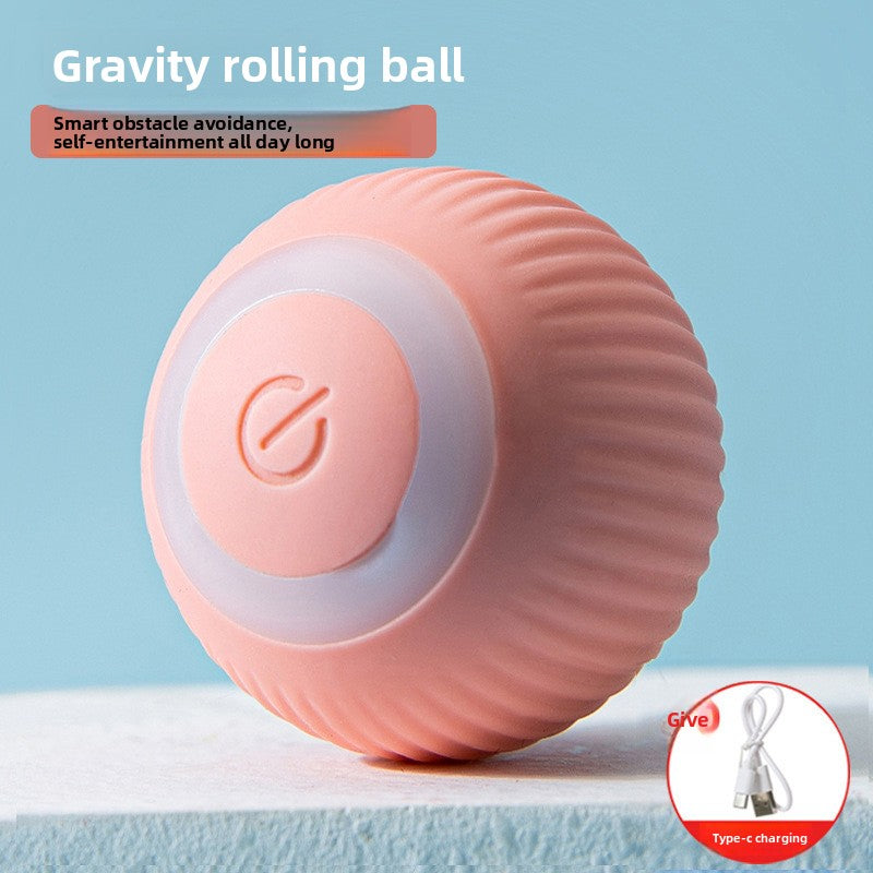 The Ultimate Smart Playmate