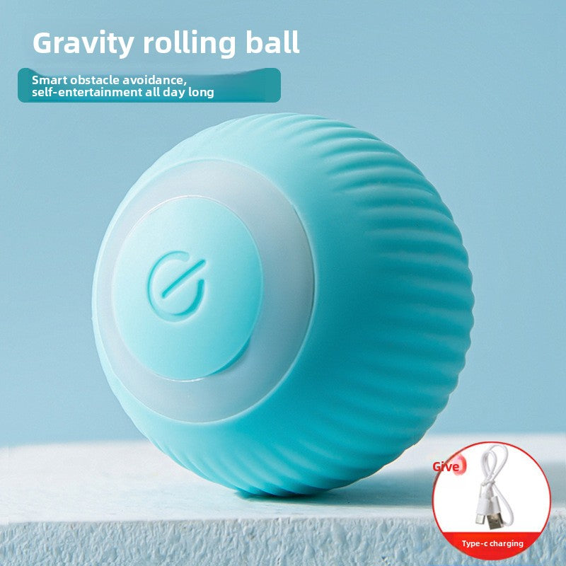 The Ultimate Smart Playmate